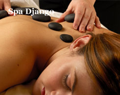 Spa Django